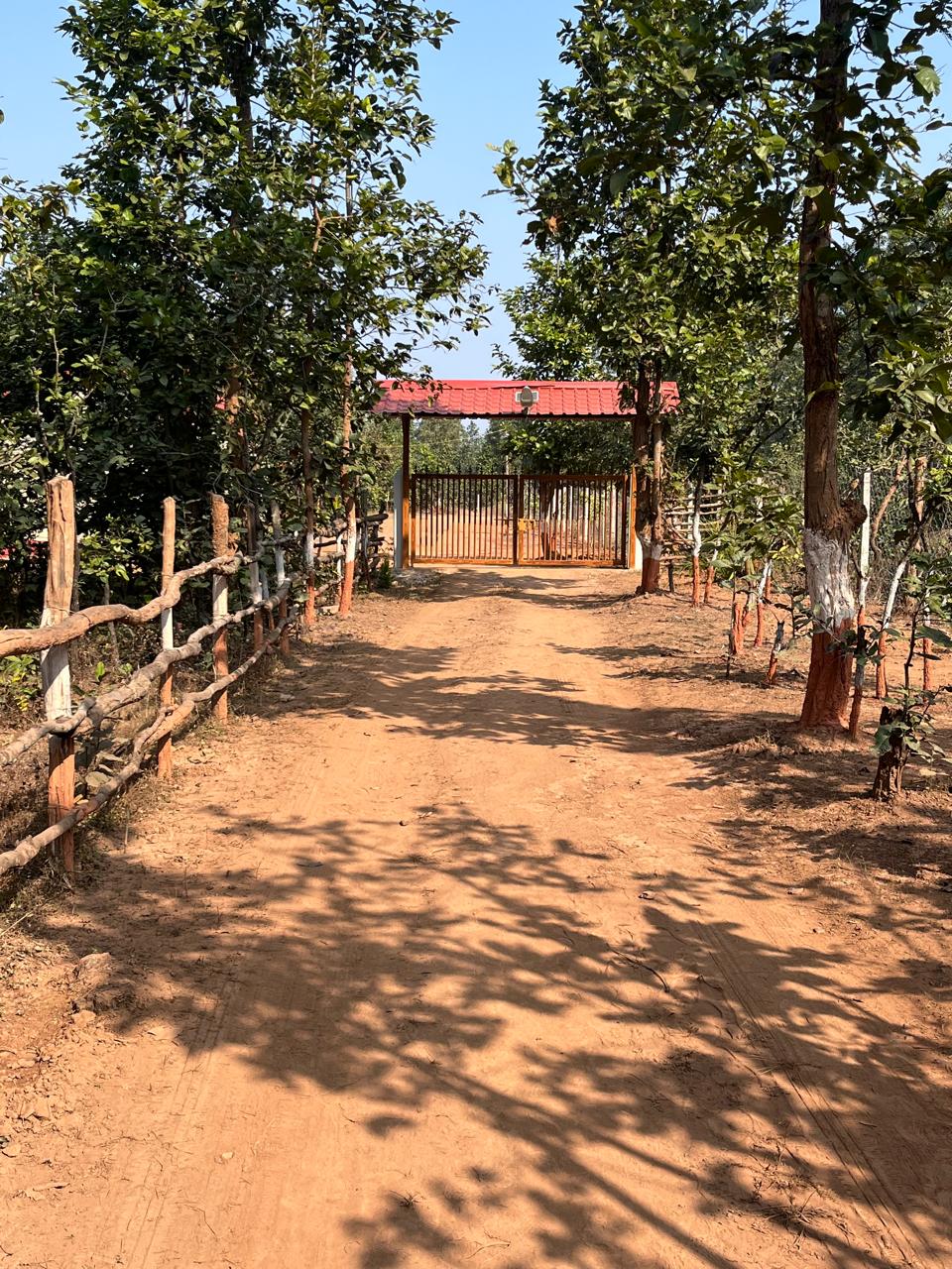 Luxury resort pool with palm trees at sunset